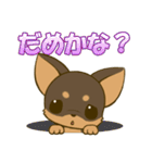 チワワたん2（個別スタンプ：18）