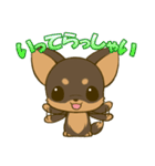 チワワたん2（個別スタンプ：26）