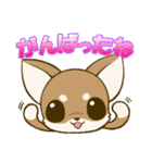 チワワたん2（個別スタンプ：33）