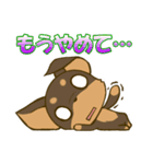 チワワたん2（個別スタンプ：36）