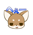 チワワたん2（個別スタンプ：37）