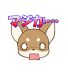 チワワたん2（個別スタンプ：39）