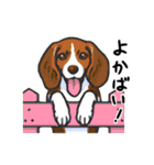 かわいか動物スタンプ（九州編）（個別スタンプ：1）