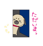 パグ（個別スタンプ：23）