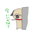 パグ（個別スタンプ：34）