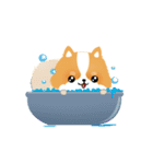 17 PomPom Dog（個別スタンプ：5）