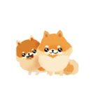 17 PomPom Dog（個別スタンプ：7）