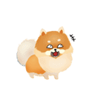 17 PomPom Dog（個別スタンプ：17）