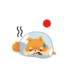 17 PomPom Dog（個別スタンプ：18）