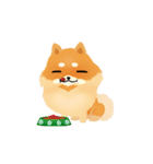 17 PomPom Dog（個別スタンプ：28）