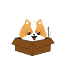 17 PomPom Dog（個別スタンプ：31）