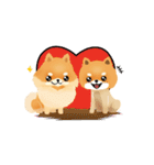 17 PomPom Dog（個別スタンプ：32）