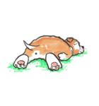 犬のスタンプ（個別スタンプ：15）