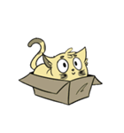 サミーザ·混乱猫（個別スタンプ：19）