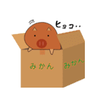 可愛らしいウリ坊ちゃんのスタンプ（個別スタンプ：1）