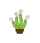 Cacto（個別スタンプ：15）