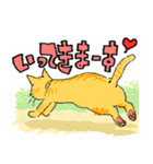 シェアハウス猫きゃん（個別スタンプ：24）