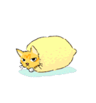 シェアハウス猫きゃん（個別スタンプ：31）