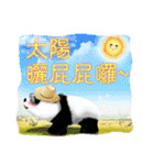 One day of the Chubby Panda（個別スタンプ：30）
