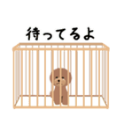 日常の犬（個別スタンプ：14）