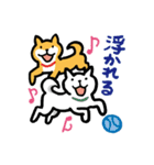 柴犬さんのツボ vol.2（個別スタンプ：16）