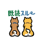 柴犬さんのツボ vol.2（個別スタンプ：35）