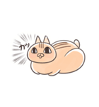 山内ぶどう園のくり太（個別スタンプ：5）