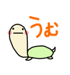 カメ吉（個別スタンプ：1）