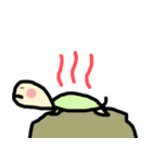 カメ吉（個別スタンプ：14）