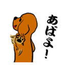 江戸っ子ダックス（個別スタンプ：2）