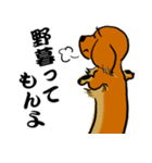 江戸っ子ダックス（個別スタンプ：8）