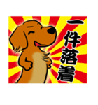 江戸っ子ダックス（個別スタンプ：16）