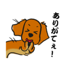 江戸っ子ダックス（個別スタンプ：21）