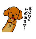 江戸っ子ダックス（個別スタンプ：22）