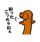 江戸っ子ダックス（個別スタンプ：24）