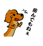 江戸っ子ダックス（個別スタンプ：32）