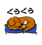 江戸っ子ダックス（個別スタンプ：34）