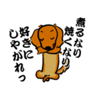 江戸っ子ダックス（個別スタンプ：37）