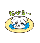 餅犬スタンプ（個別スタンプ：11）