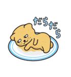 餅犬スタンプ（個別スタンプ：28）