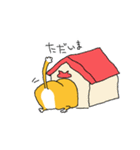 おれんじねこさん（個別スタンプ：14）