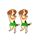 cute beagle dogs（個別スタンプ：4）