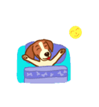 cute beagle dogs（個別スタンプ：8）