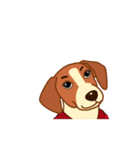 cute beagle dogs（個別スタンプ：11）