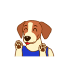 cute beagle dogs（個別スタンプ：12）