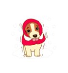cute beagle dogs（個別スタンプ：13）