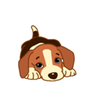 cute beagle dogs（個別スタンプ：19）