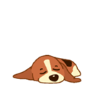cute beagle dogs（個別スタンプ：20）