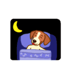 cute beagle dogs（個別スタンプ：23）