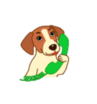 cute beagle dogs（個別スタンプ：29）